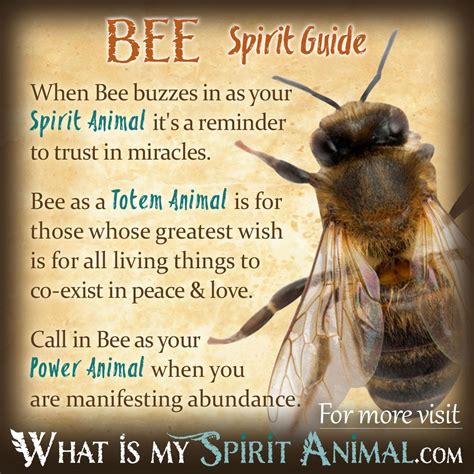 beta indian meaning|Is it ‘bee.